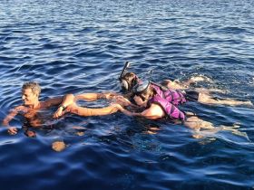 A group enjoys snorkeling in clear waters, showcasing the excitement of underwater exploration and fun in the sun.