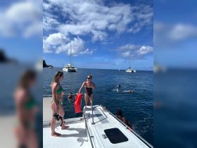 A lively group enjoys snorkeling and swimming off the side of a catamaran, showcasing a fun day on the water under a bright blue sky.