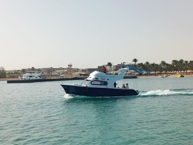 Listing image 1137318