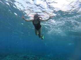 A snorkeler explores vibrant underwater scenery, showcasing the thrill of marine adventures. Perfect for those seeking unforgettable experiences in crystal-clear waters.