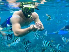 A snorkeler interacts with vibrant fish underwater, showcasing the beauty of marine life during an exciting snorkeling adventure.