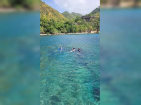 A group enjoys a refreshing swim in crystal-clear waters surrounded by lush greenery, perfect for snorkeling adventures and tropical getaways.