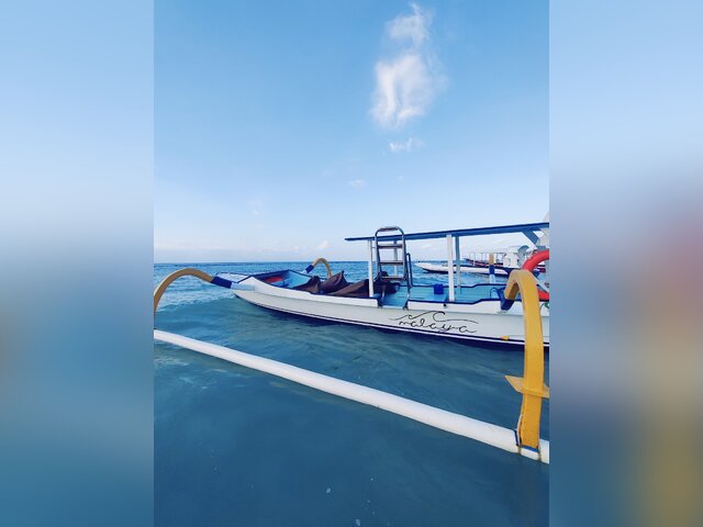 Listing image 1116008