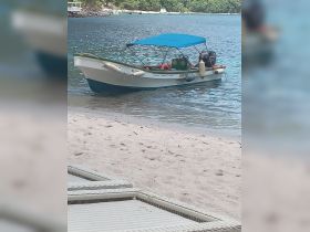 A charming boat is docked in calm waters, showcasing its sleek design against a backdrop of lush greenery and sandy beach — perfect for leisurely outings.