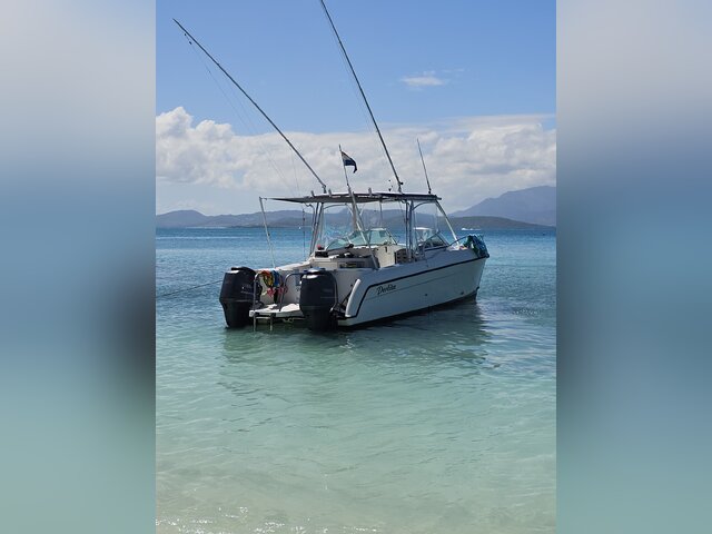 Listing image 1116024