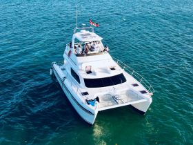 Aerial view of a catamaran cruising through vibrant waters, with guests enjoying the experience on board — perfect for group outings and adventures on the sea.