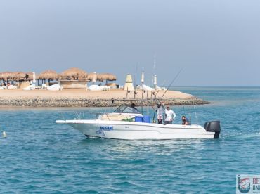 Redsea Fishing Anglers
