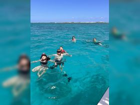 A lively group enjoys snorkeling in crystal-clear turquoise waters, creating unforgettable memories in a tropical paradise.