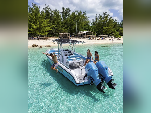 Listing image 1227563