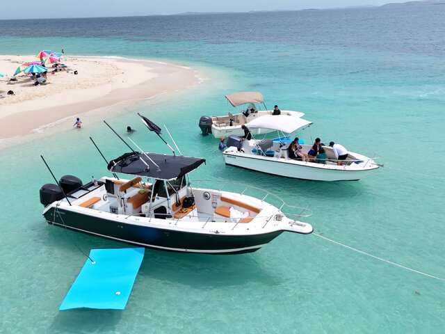 Listing image 1116287