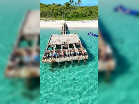 A lively group poses on an old pier over crystal-clear waters, capturing a fun beach day perfect for celebrations and group outings.