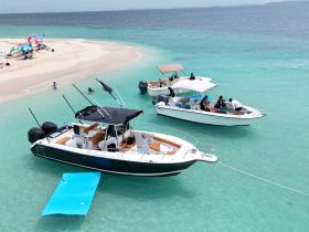 A vibrant scene at a sandbar with multiple boats anchored, where guests enjoy swimming and relaxing on the beach — a perfect day for boating adventures.