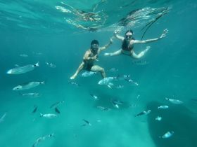 A couple enjoys snorkeling underwater, surrounded by vibrant fish in crystal-clear waters — a perfect adventure for marine life enthusiasts.