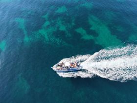 An aerial view of a speedboat cruising through crystal-clear waters, showcasing a lively group enjoying their time on the water.