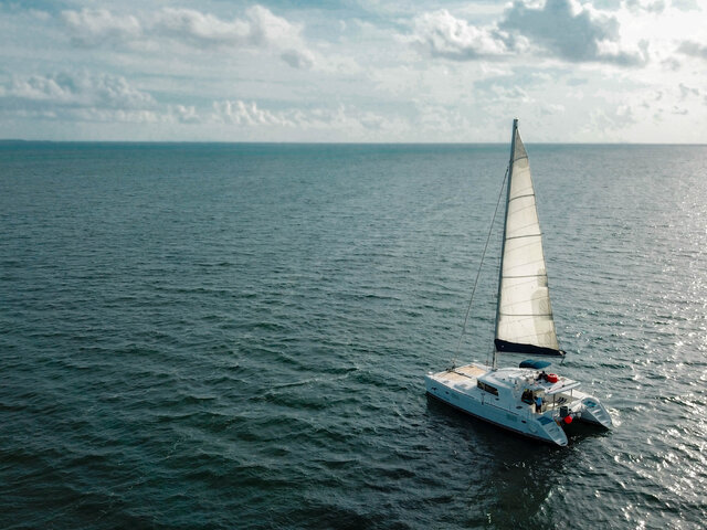 Listing image 1117922