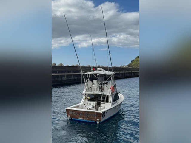 Listing image 1116331