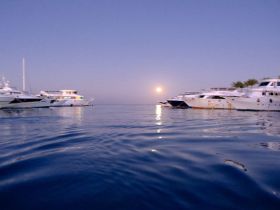 A serene view of several yachts docked under a beautiful moonrise, reflecting on calm waters — perfect for showcasing luxury boating experiences.