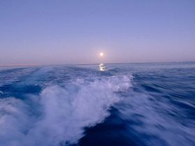 A serene view of the ocean at dusk, showcasing the wake of a boat as it glides through the water under a rising moon — perfect for capturing the tranquility of evening cruises.