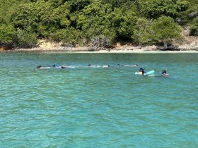 A group of snorkelers explores the vibrant underwater world in clear turquoise waters, showcasing the excitement of aquatic adventures.