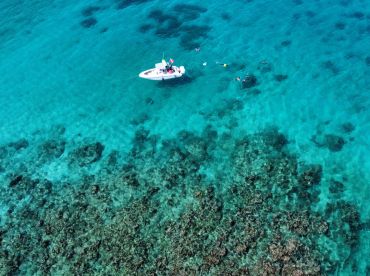 Pirate Snorkeling Shack