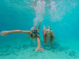Two friends enjoy snorkeling in crystal-clear waters, showcasing the vibrant underwater world — a perfect adventure for marine enthusiasts.