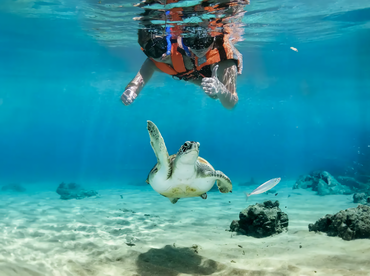 American Sailing Cancun