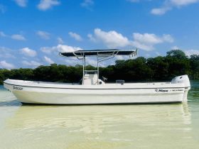 A pristine view of the 'Deliciosa' boat anchored in calm waters, showcasing its sleek design and perfect for leisurely outings.