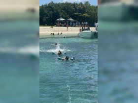 A lively group enjoys snorkeling in crystal-clear waters, with a beach and boat in the background — perfect for a fun day on the water.