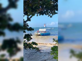 Party boat