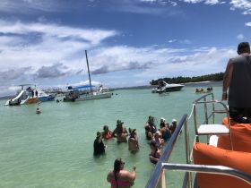 A lively group enjoys a sandbar stop, swimming and socializing in the clear waters, with multiple boats in the background creating a festive atmosphere.