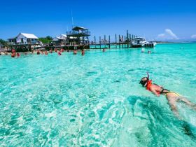 A vibrant scene of snorkelers enjoying the crystal-clear waters, surrounded by a lively group at a beach destination — perfect for aquatic adventures.