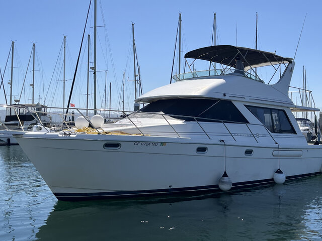 Listing image 1133271