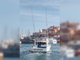A fishing boat named 'GO DEEPER' navigates through the marina, showcasing its sleek design and readiness for adventure on the water.