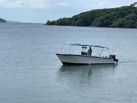 A speedboat navigates through calm waters, showcasing its sleek design against a backdrop of lush greenery — perfect for exploring coastal areas.