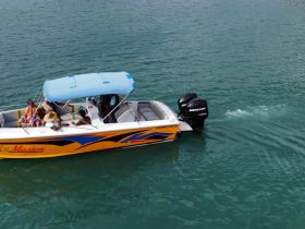 A lively group enjoys a day on the water aboard a colorful boat, showcasing the perfect setting for fun and relaxation.