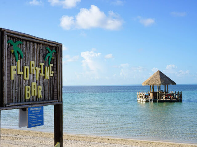 Listing image 1117247