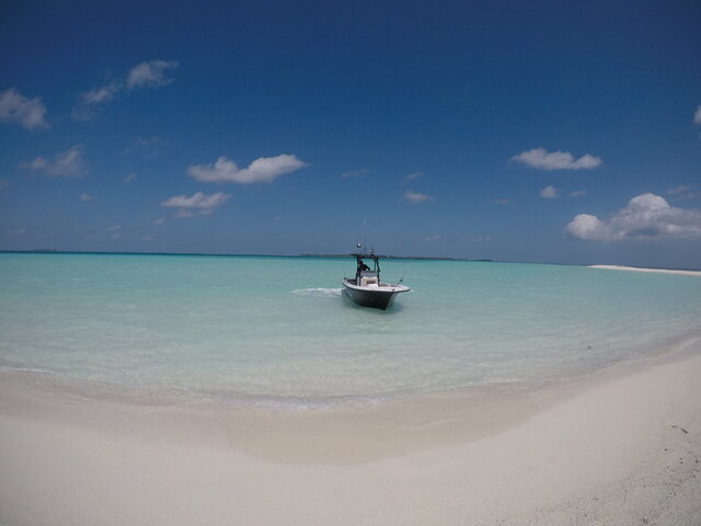 Listing image 1117350