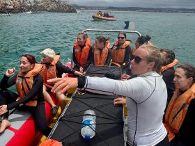 A group of women in life jackets enjoy an exciting boat ride, ready for an adventure on the water — perfect for snorkeling or exploring marine life.
