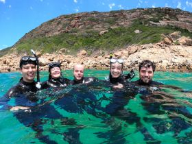 A joyful group of snorkelers enjoys a vibrant underwater experience in crystal-clear waters, surrounded by stunning coastal scenery.