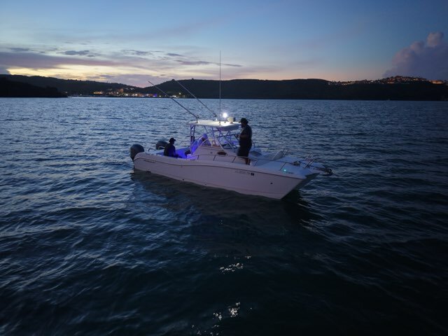 Listing image 1117446