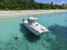 Aerial view of a speedboat anchored in crystal-clear waters, surrounded by a pristine beach — perfect for a day of adventure on the water.
