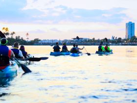 A group of kayakers paddles together during a stunning sunset, creating a perfect backdrop for an adventurous evening on the water.