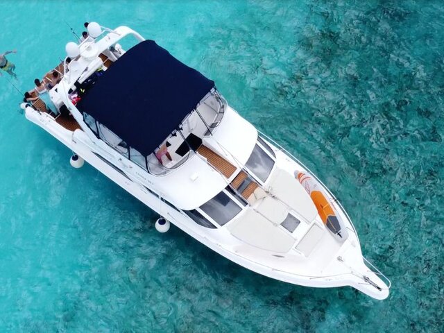 Listing image 1117549