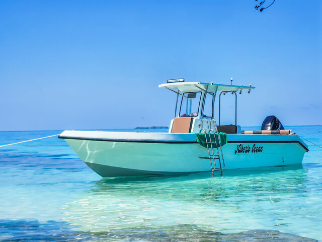 Listing image 1117679