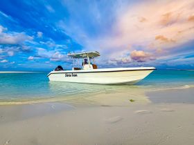 A sleek speedboat named 'Stiletto Ocean' is docked on a sandy beach, surrounded by clear turquoise waters and a stunning sky, perfect for a day of adventure on the water.