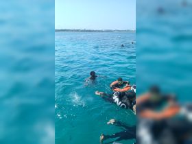 A lively group enjoys swimming in the clear turquoise waters, showcasing a fun snorkeling experience — perfect for adventure seekers in tropical destinations.