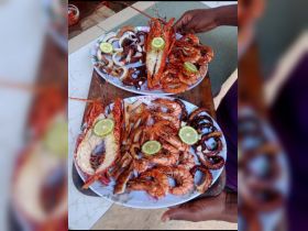 A vibrant display of freshly prepared seafood, including lobster, shrimp, and octopus, garnished with lime — perfect for a delicious onboard dining experience.