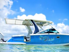 A clear side view of the 'Dancing Queen 2' Chaparral boat, showcasing its sleek design against a bright blue sky, perfect for a day on the water.