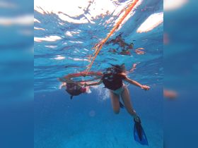 Two snorkelers explore vibrant underwater scenery, showcasing the excitement of marine adventures. Perfect for those seeking unforgettable experiences in crystal-clear waters.