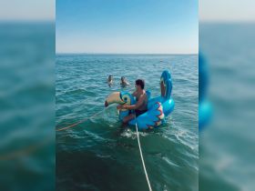 A group of friends enjoys a fun day in the water, riding an inflatable flamingo and swimming under the sun — perfect for summer adventures.